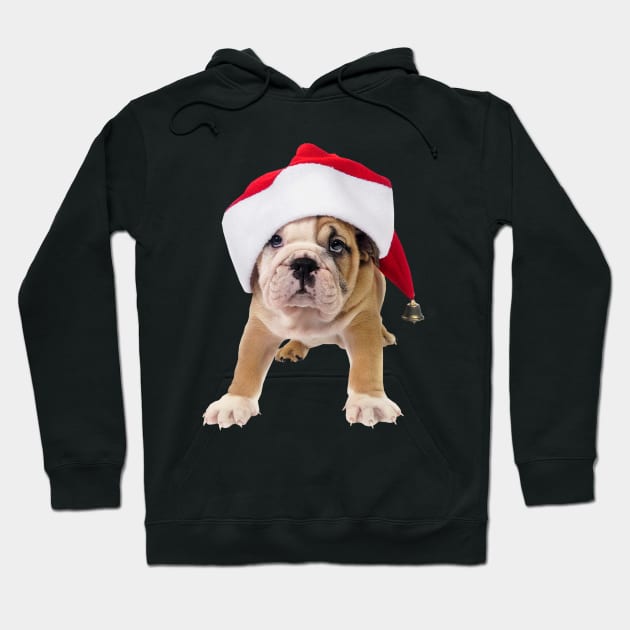 Pug Puppy Santa Claws Hoodie by dcohea